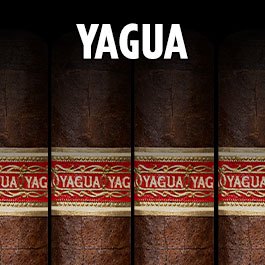Yagua
