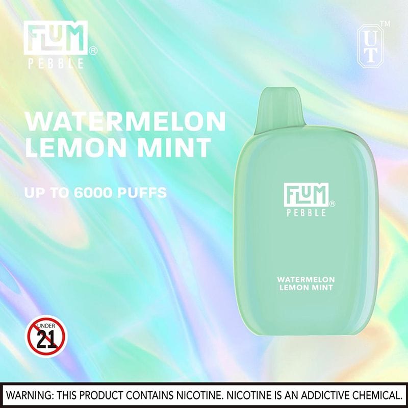 Flum Pebble Disposable Vape (5%, 6000 Puffs)