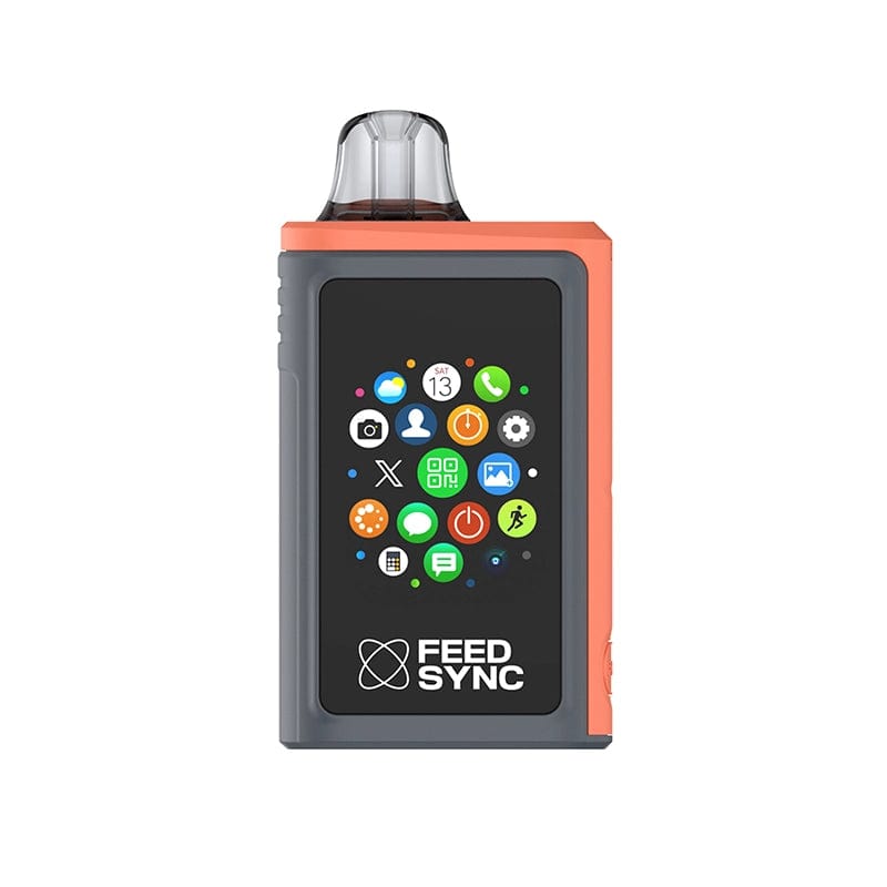 FEED SYNC 30K Disposable Vape (5%, 30000 Puffs)