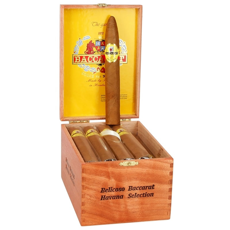 Baccarat Belicoso-20