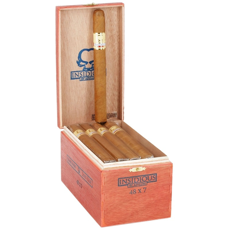 Asylum Insidious Churchill