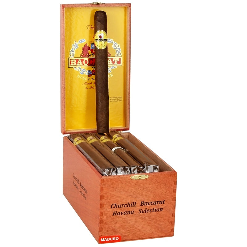 Baccarat Churchill Maduro-25